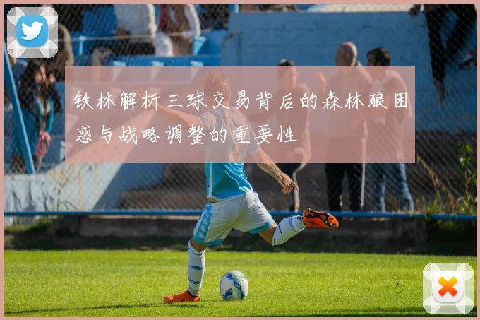 铁林解析三球交易背后的森林狼困惑与战略调整的重要性