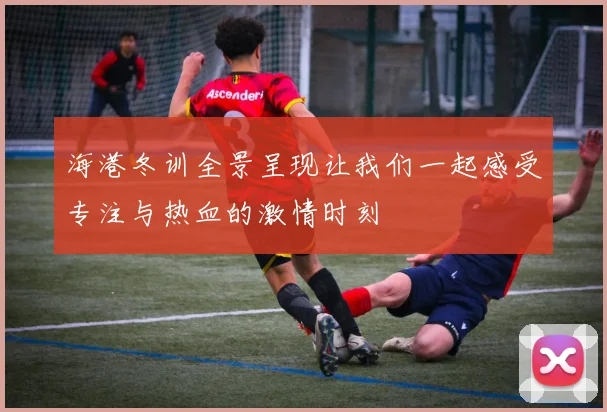 海港冬训全景呈现让我们一起感受专注与热血的激情时刻