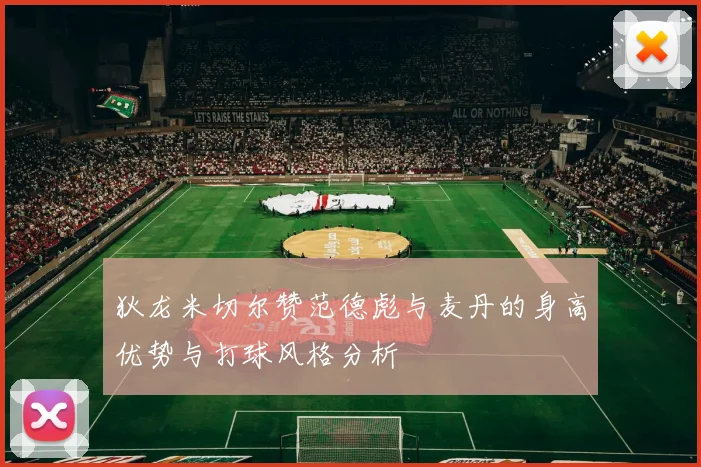 狄龙米切尔赞范德彪与麦丹的身高优势与打球风格分析